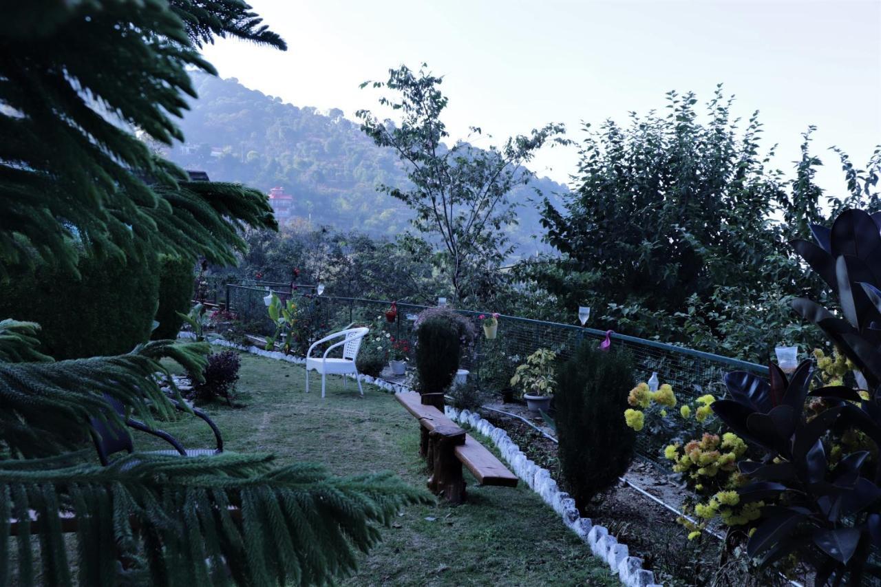 Wildleaf Kasauli Valley Homz Acomodação com café da manhã Exterior foto